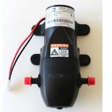 Membranpumpe Flojet 24V für Selbach